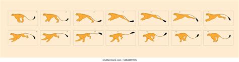Image result for Tiger Run Cycle Animation