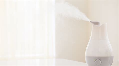 Image result for Benefits of Humidifiers