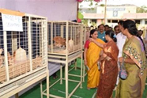 College of Veterinary Science, Tirupati | పశువైద్య కళాశాల,తిరుపతి