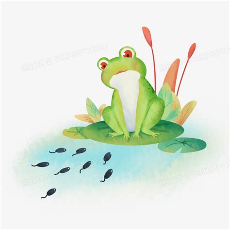 手绘卡通小蝌蚪找青蛙妈妈场景免抠PNG图片素材下载_卡通PNG_熊猫办公
