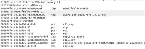 Image result for Error at Hooking API Ntprotectvirtualmemory