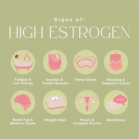 Symptoms Of High Estrogen
