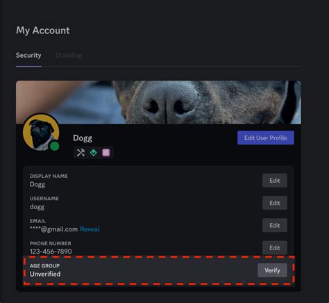 https://support.discord.com/hc/article_attachments/36768944680599