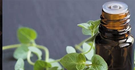 किचन में मिलने वाली 11 प्राकृतिक चीजें, ये हमारी सेहत का रख सकते हैं ...