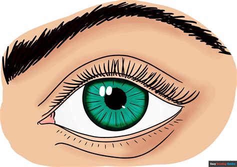 Image result for Drawing Human Eye Tutorial
