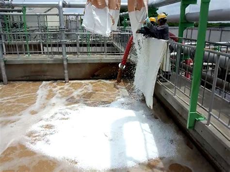 造纸类污泥污水处理-江苏天尼威环保科技有限公司
