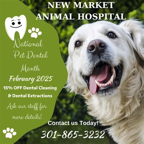 Dental Month – New Market Animal Hospital