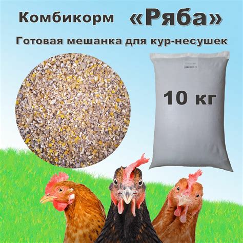 Комбикорм для кур несушек "Ряба" (Несушка продуктивная) готовая мешанка ...