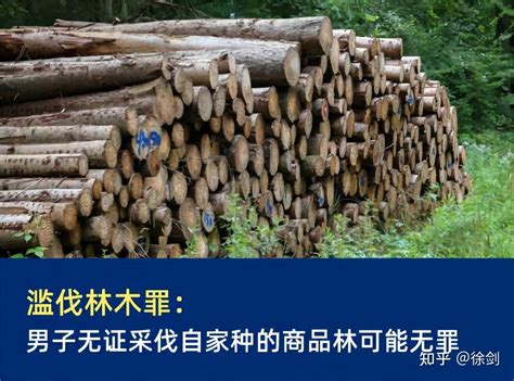 砍自家的树也犯法？广州两男子因此获刑，被罚补种复绿！
