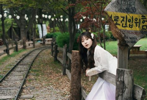 Nami Island, Petite France, Rail Bike & Garden of Morning Calm Day Tour ...