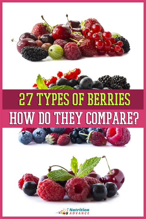 What Are The 7 Different Types Of Berries at Alannah Spark blog