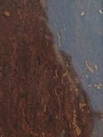 5090 AHG Dark Cork Acrylic High Gloss Finish 8 ft x 4 ft Laminate - 0.8 ...