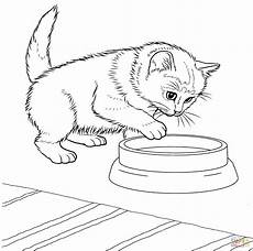 katzen malvorlagen javanese kitten coloring page free printable coloring pages katzen malvorlagen javanese kitten coloring page free printable coloring pages