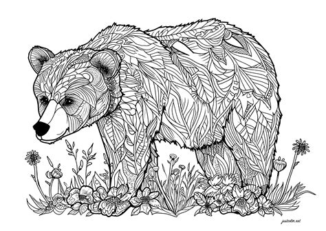 Bear Coloring Sheet Pattern