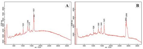 Taxifolin as a Promising Ingredient of Cosmetics for Adult Skin
