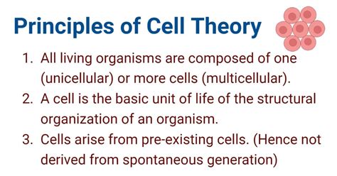 Image result for Cell Theory Explained
