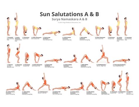 Printable Sun Salutation, See below for the full sequences.