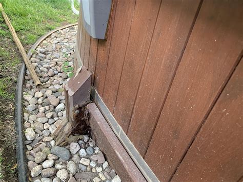 Image result for Intex Pool Collapse