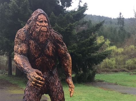 Image result for Bigfoot Found Alive