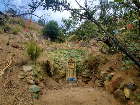 The Secret Shrine of Wattles Garden Park Trail (or Harper Monkey Path ...