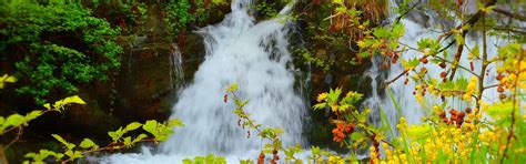 Download wallpaper Nature, Spring, Waterfall, Nature, Spring, Flowering ...