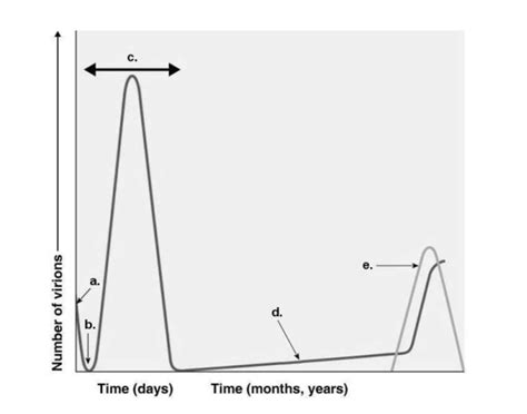 Image result for Multiple-Step Growth Curve