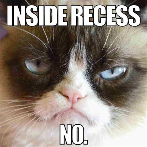 How About No Meme 的图像结果