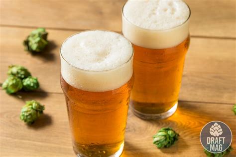Image result for IPA Beer Examples Most Popular