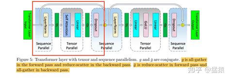 Distantcoder Morphtronic Loop 的图像结果