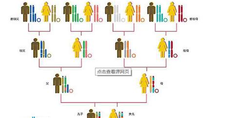 中国各省人的血统来源：看看广西祖先是谁_新浪图片