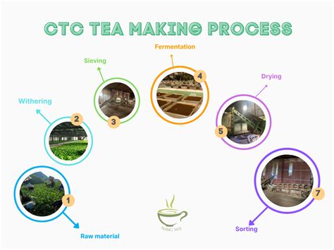 Image result for How to Process Tea