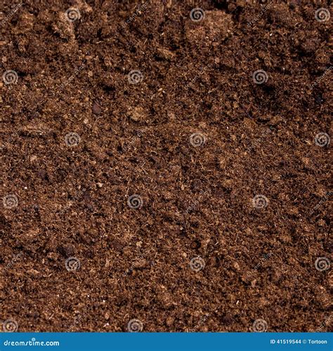 Peat Moss Soil