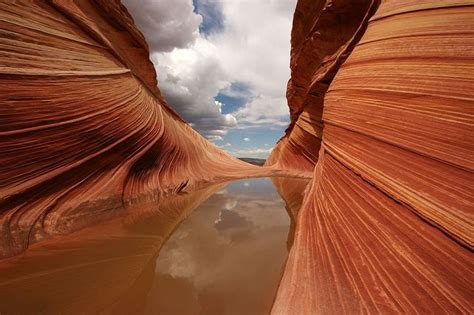 Image result for Wave Reflecting