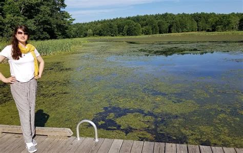 FITZGERALD LAKE CONSERVATION AREA - All You Need to Know BEFORE You Go ...