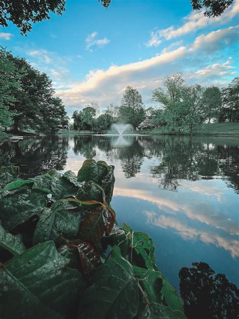 Placement tests : r/rutgers