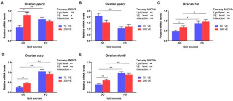 Vitamin E Ameliorates Impaired Ovarian Development, Oxidative Stress ...
