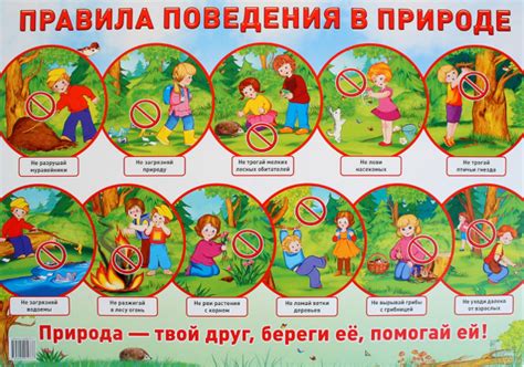 Правила поведения в лесу для детей в картинках