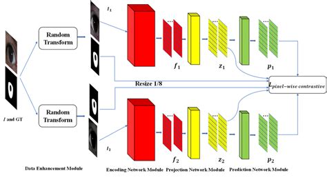 Image result for Contrastive Learning Network