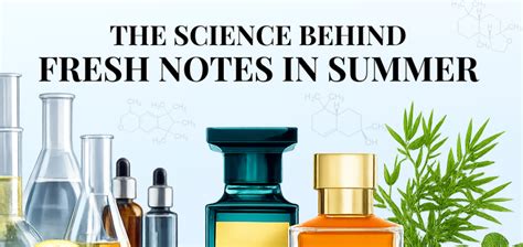 The Science Behind Fresh Notes in Summer: Why Fragrance Oils for Summe ...
