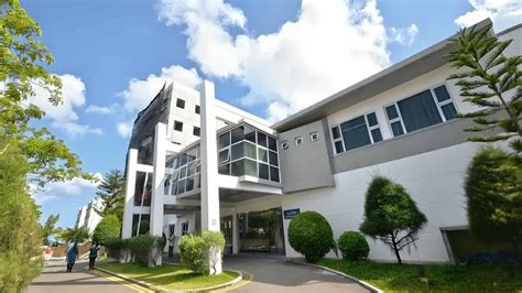 Schizoaffective vs. Schizophrenia: Key Differences Explained