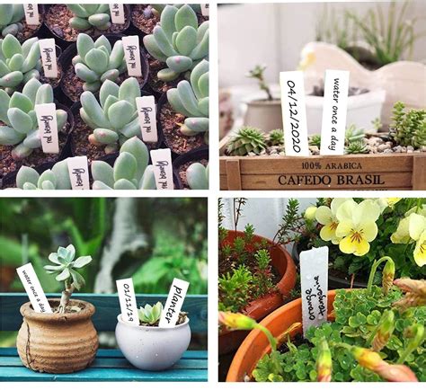 ENTHUR 300Pcs 4 Inch Plastic Plant Labels Waterproof Plant India | Ubuy