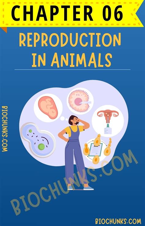 Image result for Reproduction in Animals Practical Video