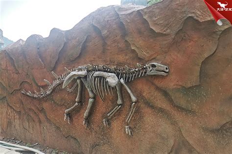 仿真恐龙骨架，霸王龙化石骨架_自贡大洋艺术有限责任公司