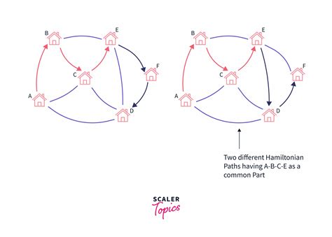 Image result for Hamiltonian Path Problem Solve with Dnaalgorithm
