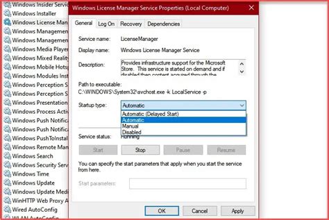 License Manager Windows License Manager Service 的图像结果