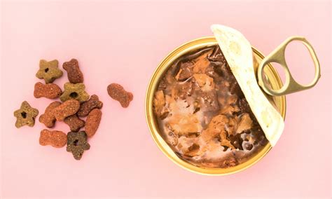 Cat Food 的图像结果