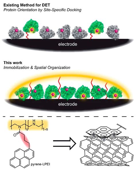 Conductive Polymers and Their Nanocomposites: Application Features in ...