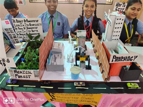 Real Science Projects 的图像结果