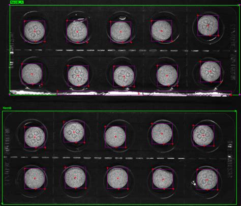 Viswill Tablet Inspection Machine 的图像结果