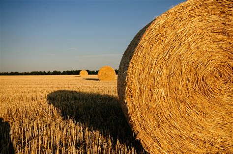 Hay Field Maine Photos, Download The BEST Free Hay Field Maine Stock ...